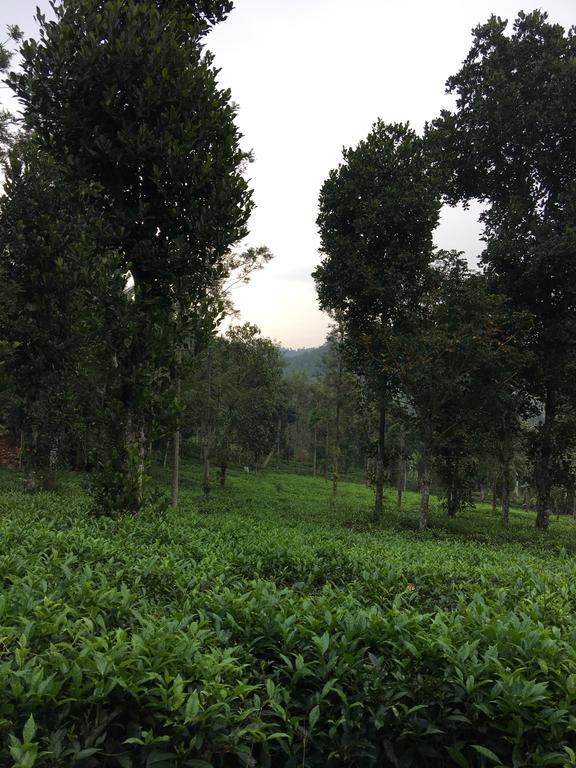 Harmony Farm Wayanad Villa Sultan Bathery Exterior photo