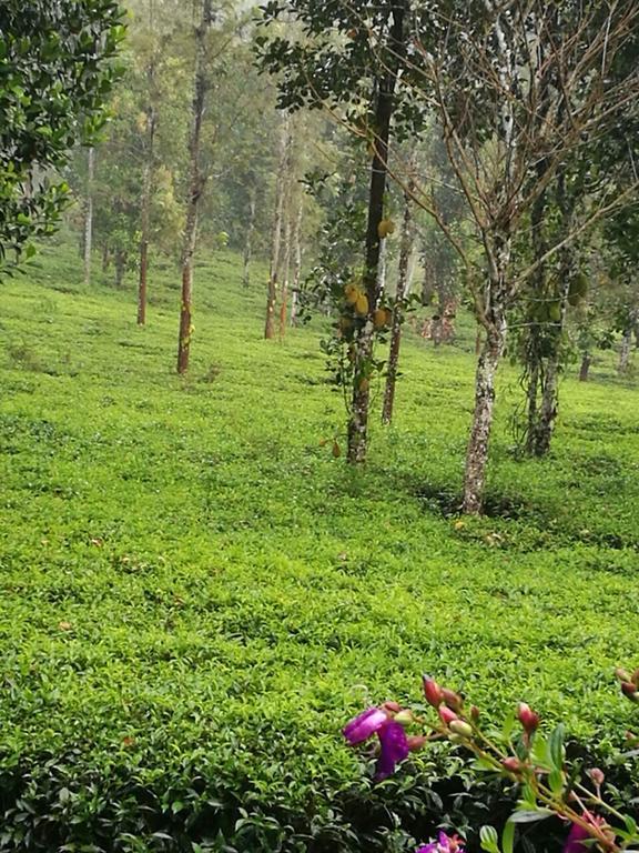 Harmony Farm Wayanad Villa Sultan Bathery Exterior photo