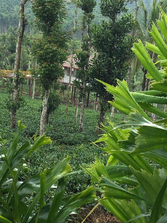 Harmony Farm Wayanad Villa Sultan Bathery Exterior photo